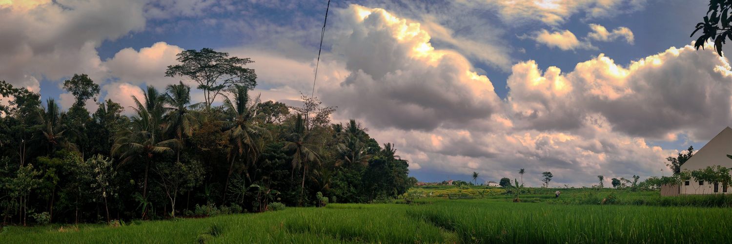 eryanfernando's profile banner image
