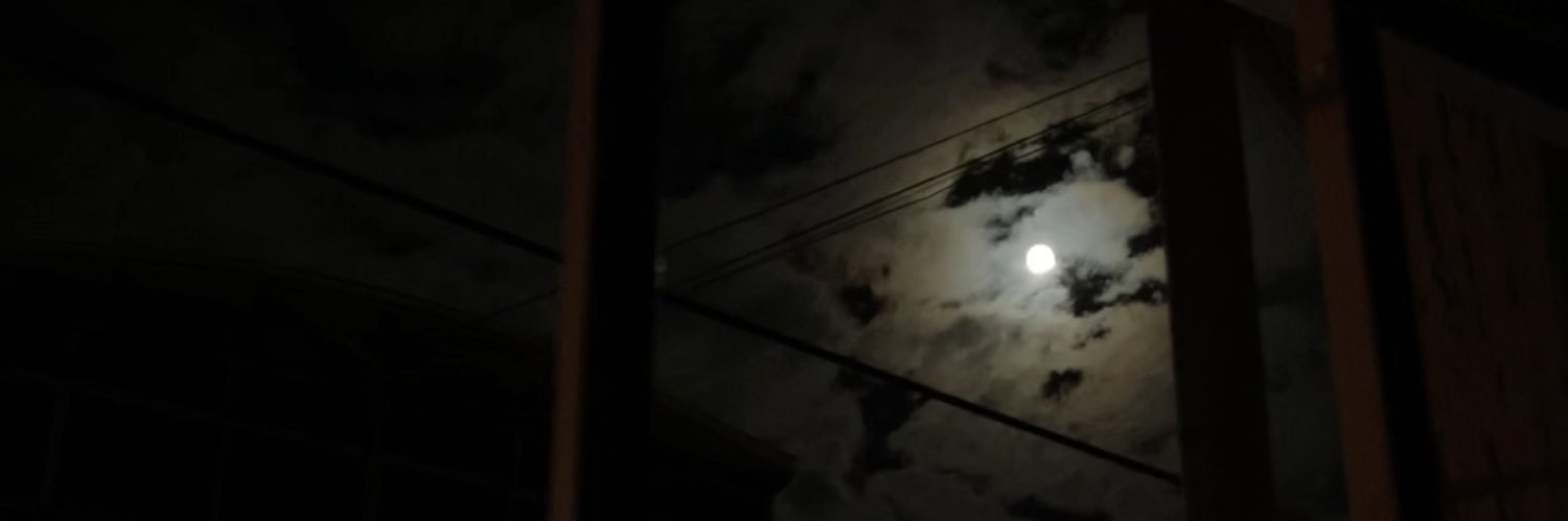 mmlll223's profile banner image