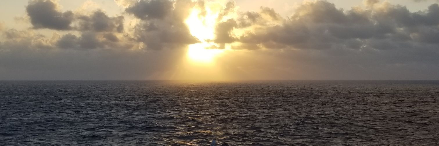 srgaunce's profile banner image