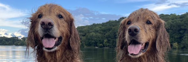 TomEsslinger1 Profile Banner