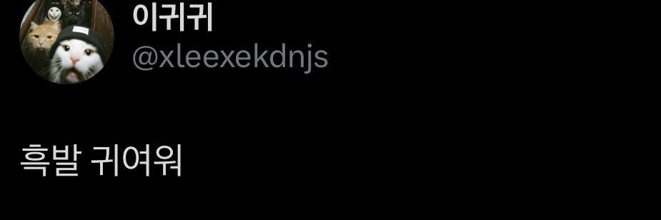 양이는 흑발 banner