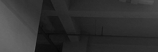 Bear. banner