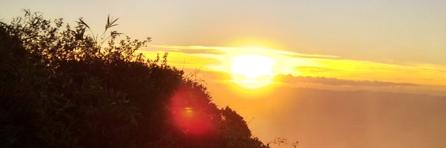 Anderson Slow/ slowfat91 banner