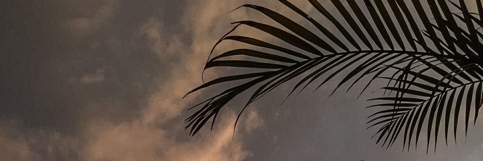 ducretmia's profile banner image