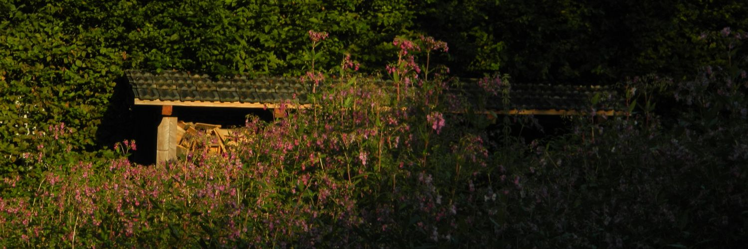 ๋࣭ ⭑Milki✦⸼࣪⸳ banner