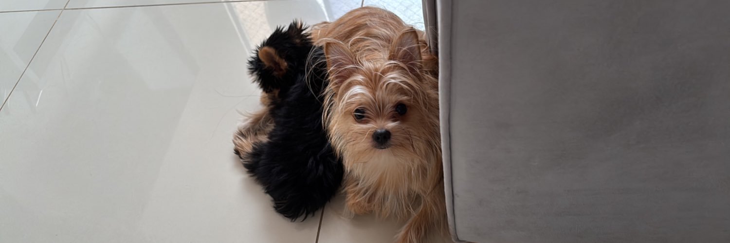 pqchu's profile banner image