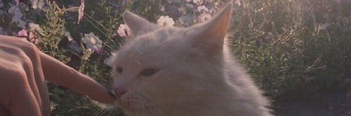 lawleywat's profile banner image