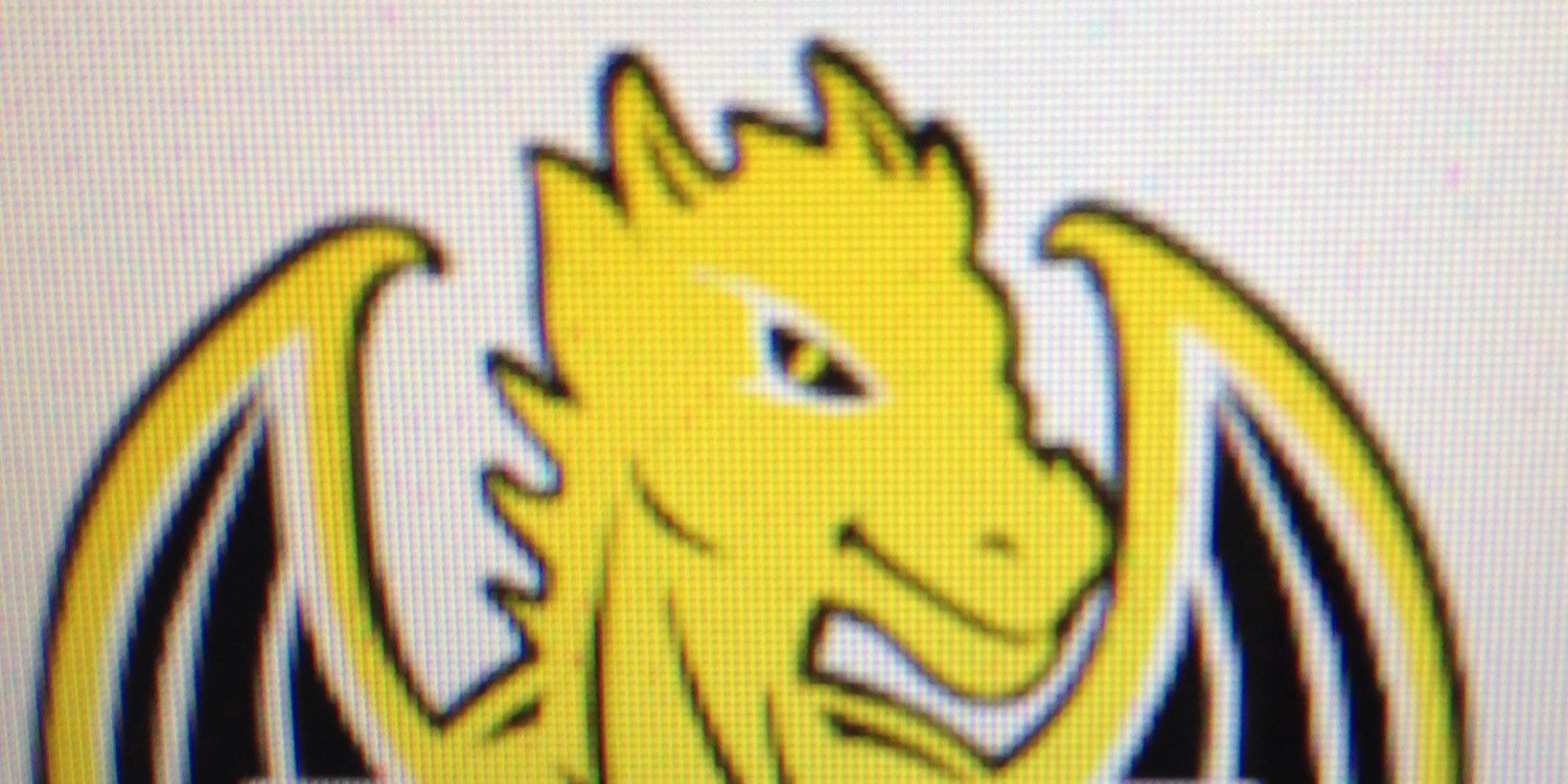 Melissa Shaffer banner