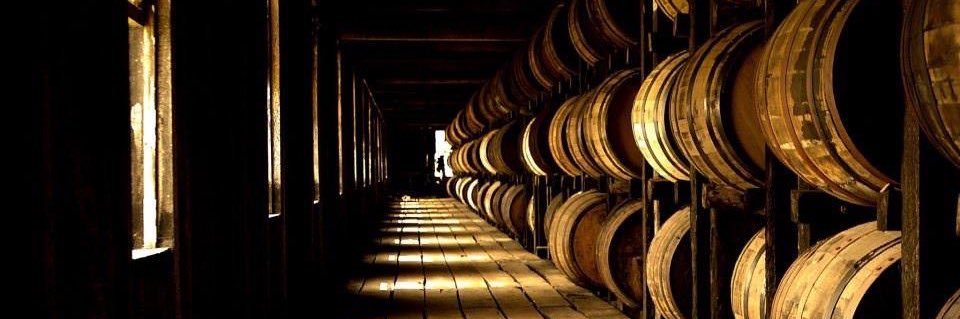 Whiskey_Swillin_lady banner