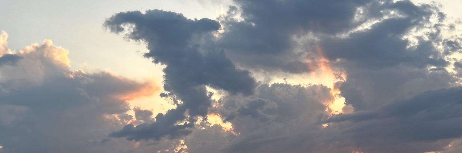danniicruzz's profile banner image