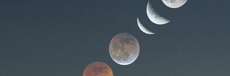 CaroFayos's profile banner image