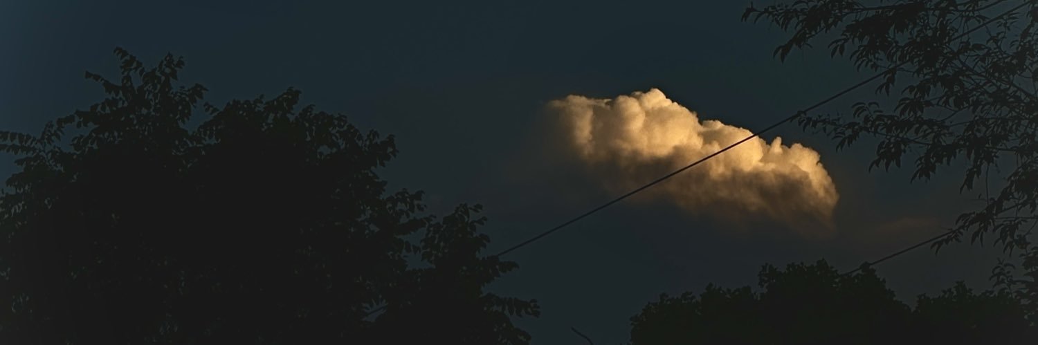 laraxmichelle's profile banner image