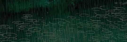 Taro 🍉 banner