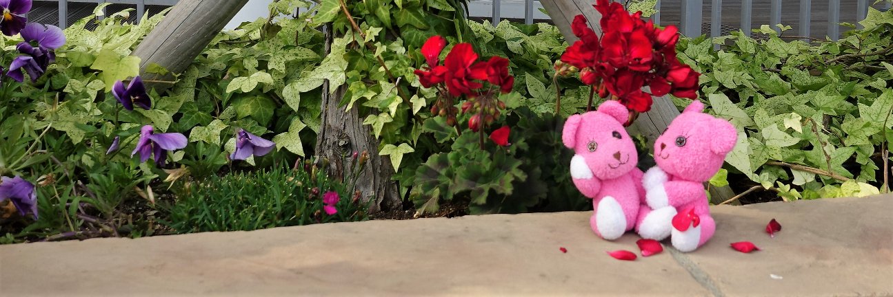 pinkmomo45's profile banner image