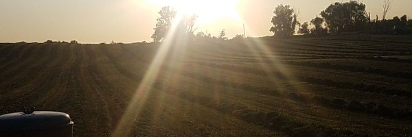 lidaacres Profile Banner