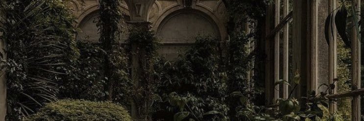 telicialove's profile banner image