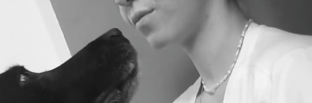JesiiiiMiranda's profile banner image