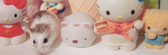 eccock2's profile banner image