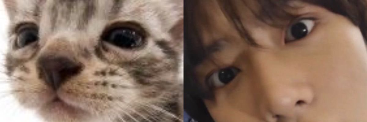 jjuriuu's profile banner image