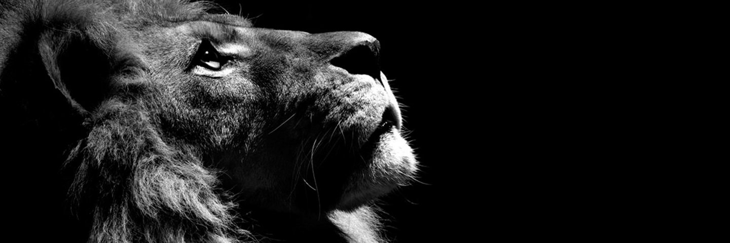 dazsk_'s profile banner image