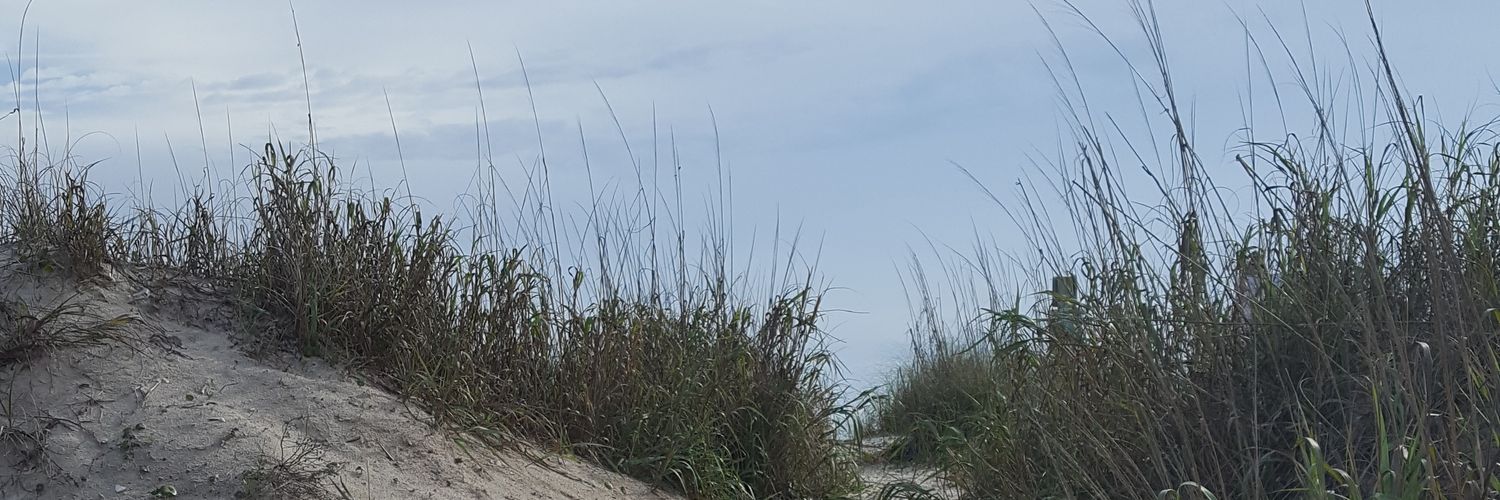 AsaGillette's profile banner image
