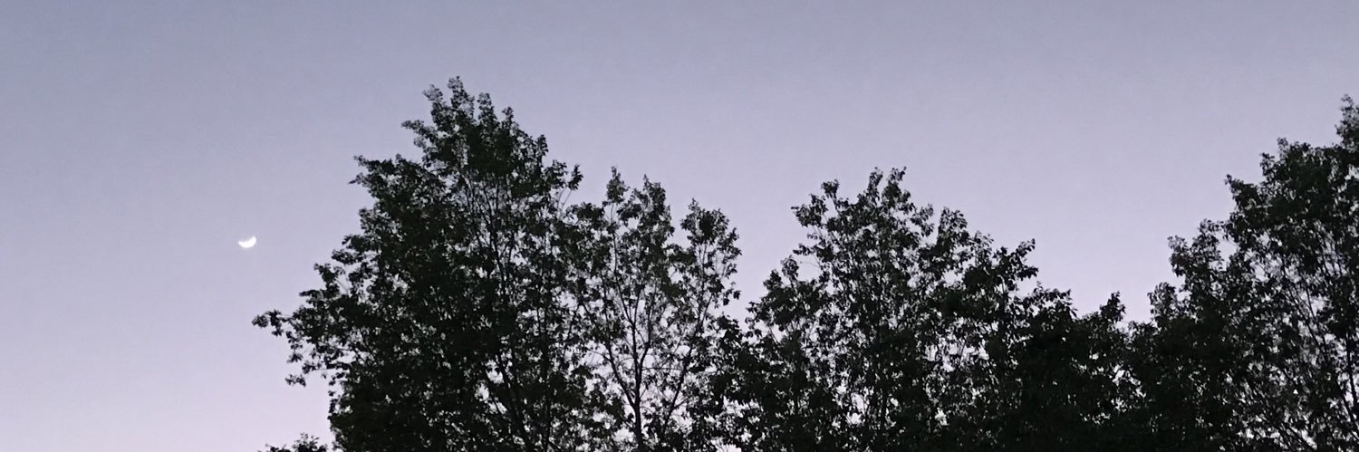 mnalrp's profile banner image