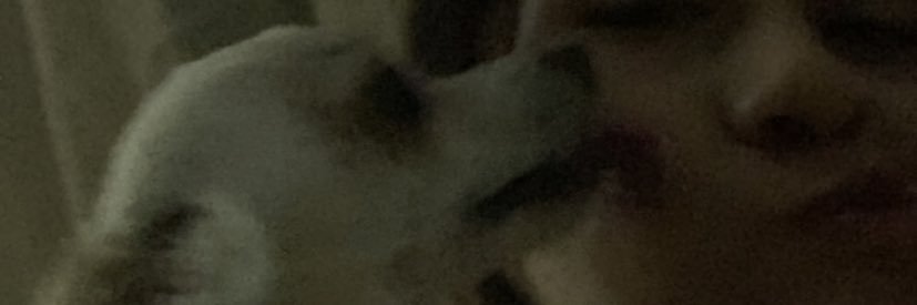 🌬Miri banner
