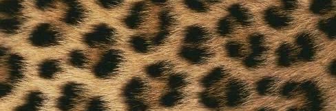 justbuse1's profile banner image