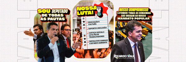 ricardovaledf Profile Banner