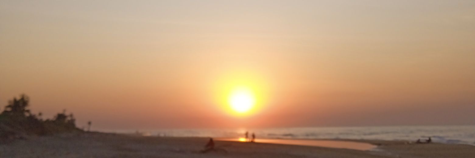 carlipton's profile banner image