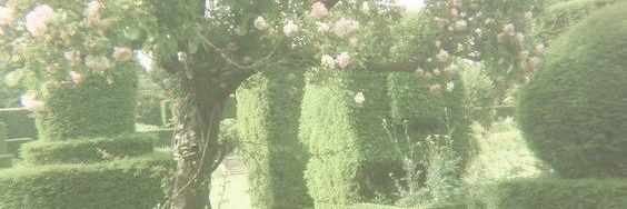 LeafyLeaa's profile banner image