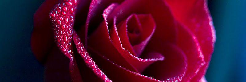 monik718's profile banner image