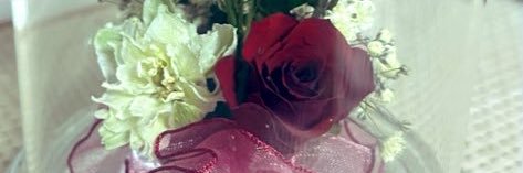 そらにゃん banner