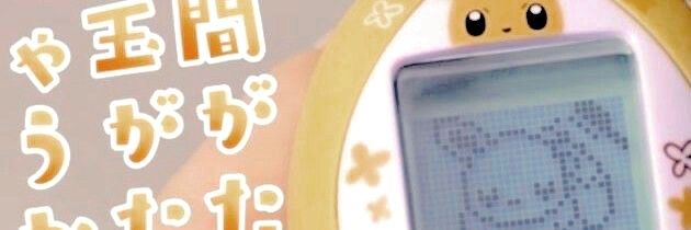 RARA jual akun twt x banner