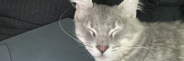 francidellamora Profile Banner