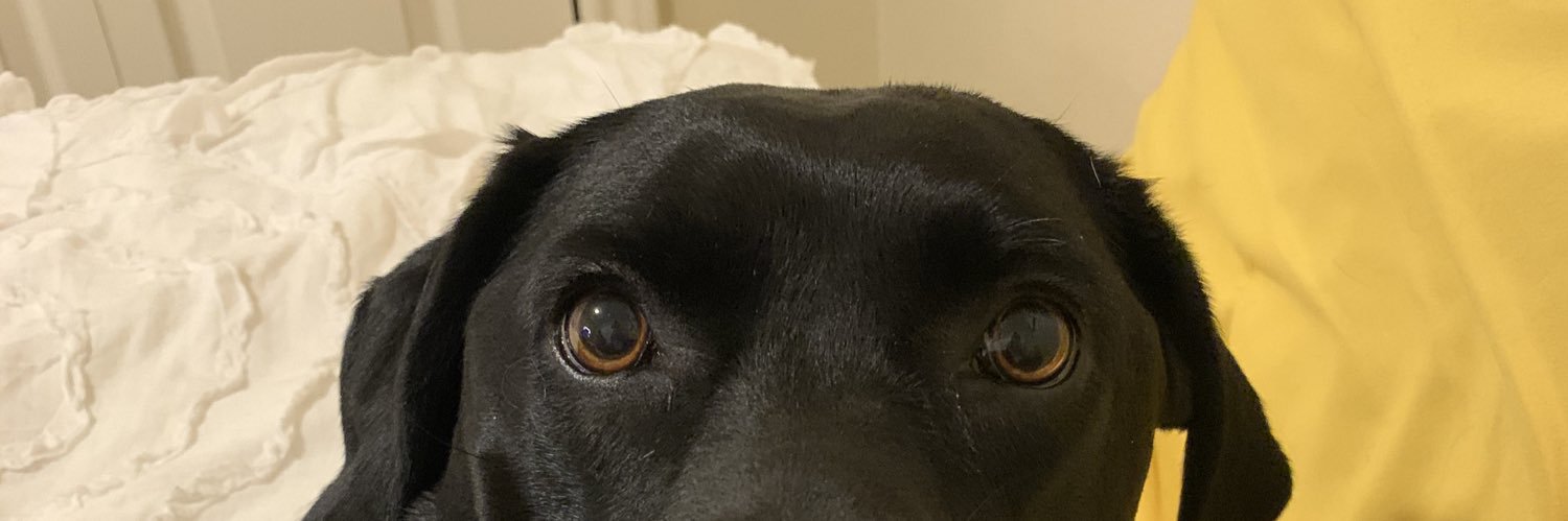 baileyrogers12's profile banner image