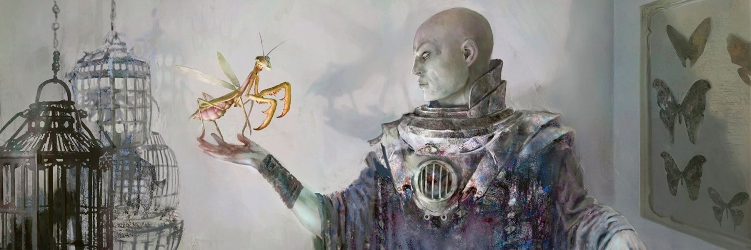 wanntkaun's profile banner image