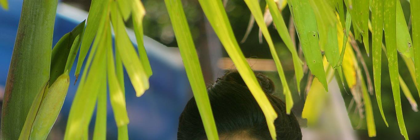 Divesoorim banner