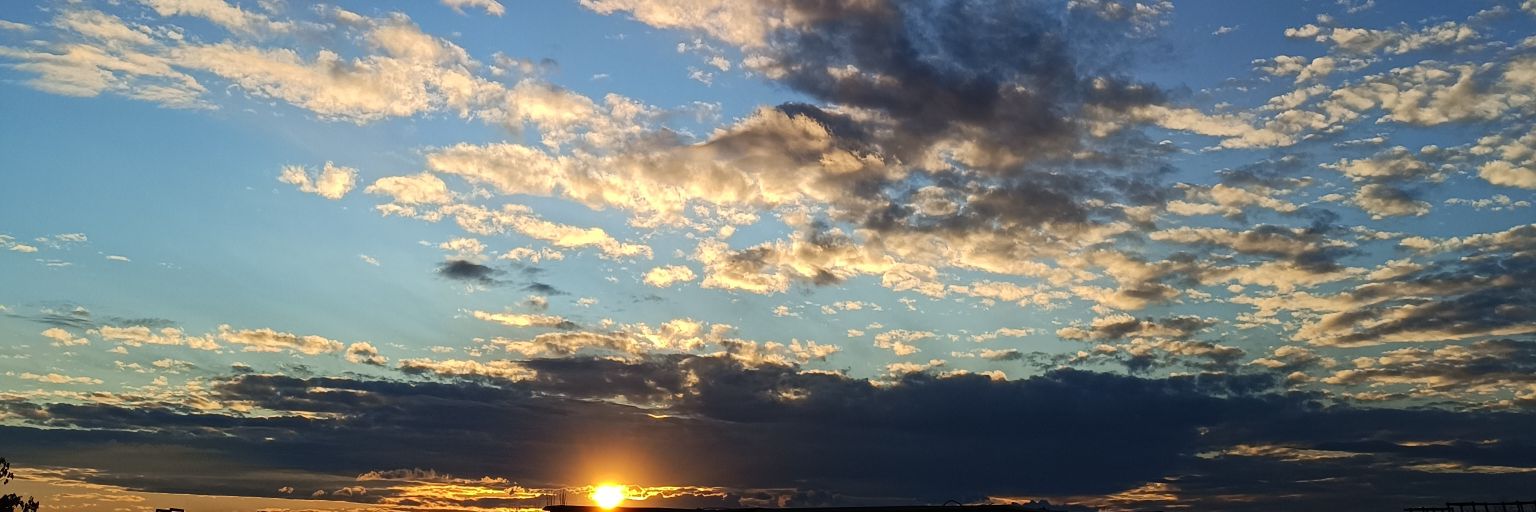 M banner