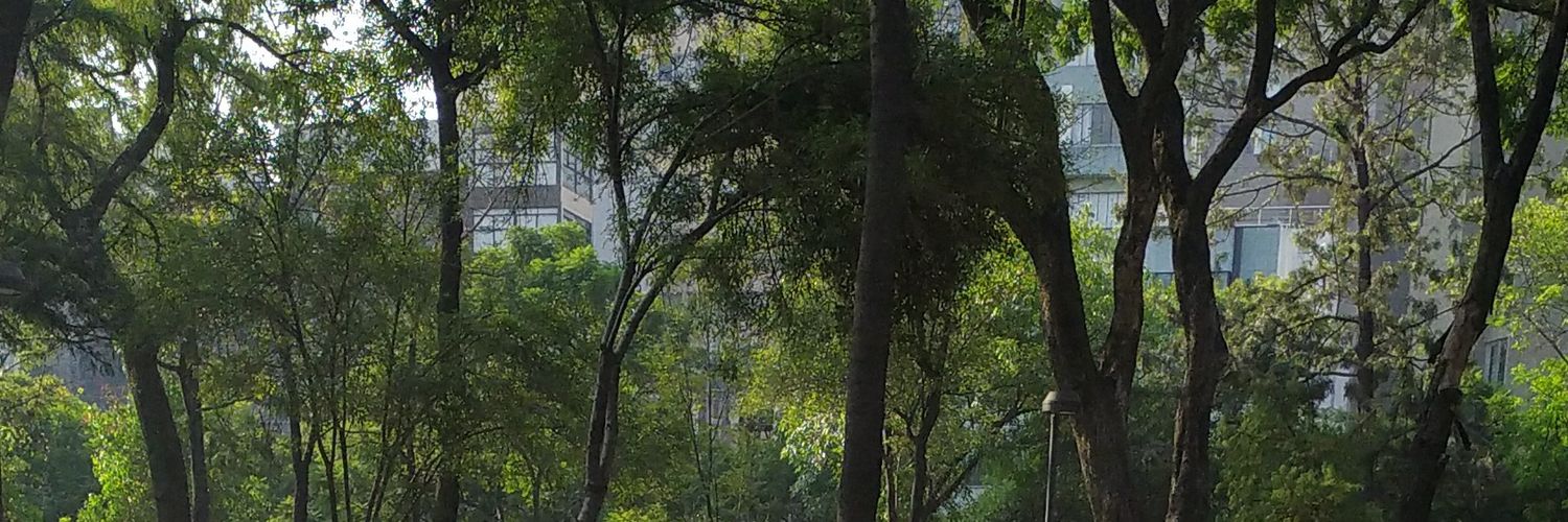 Samimíon banner