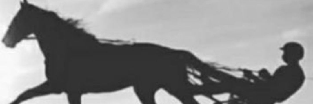 Emanuel32702168's profile banner image