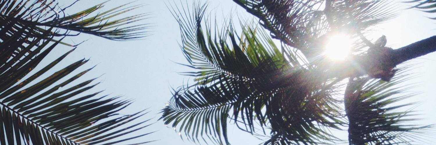 CalistaViandra's profile banner image