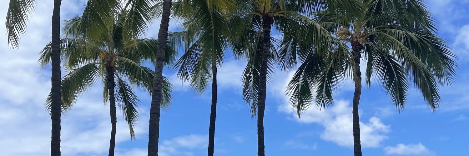 Crazy_Wini's profile banner image
