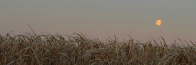 Ech0w_'s profile banner image