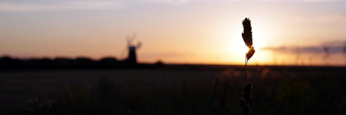 harrysuperbee's profile banner image