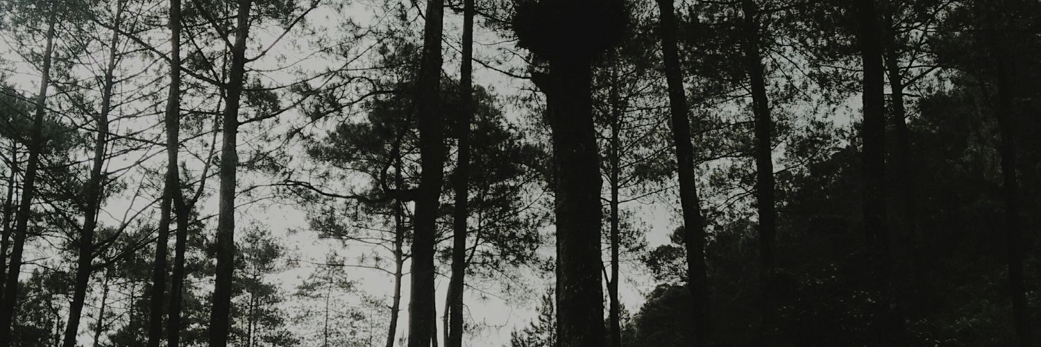 nadnednods's profile banner image