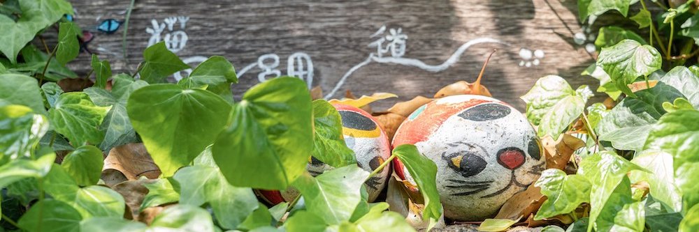 bintoco's profile banner image