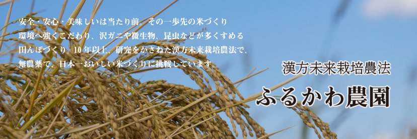 FurukawaFarm's profile banner image