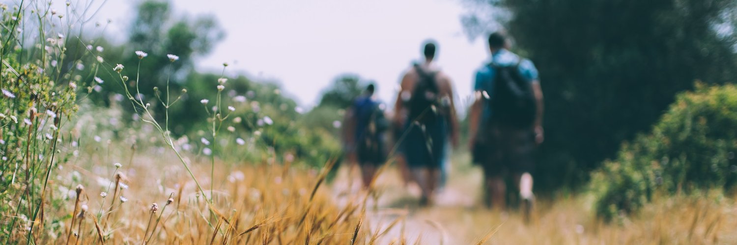 All The Elements banner