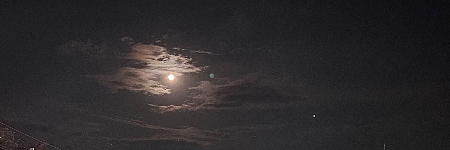 palmxpalm's profile banner image